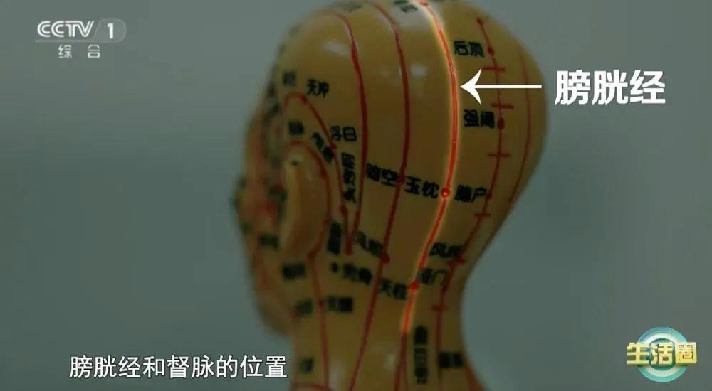 不同位置白发反映不同健康问题 护发与健康小贴士快收藏(图7)